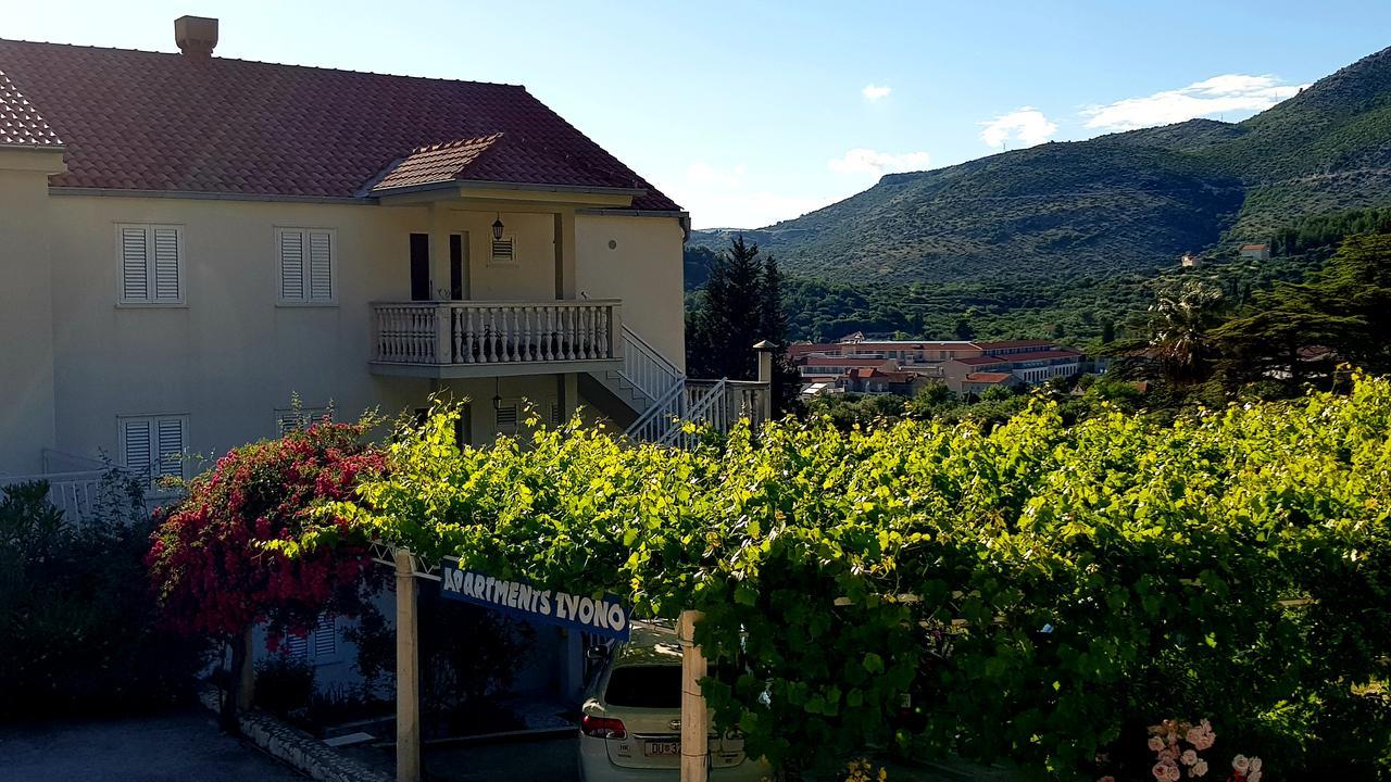 Apartamento Zvono *